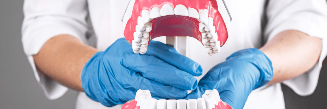jaw structure and TMJ anatomy in Charlestown, NSW